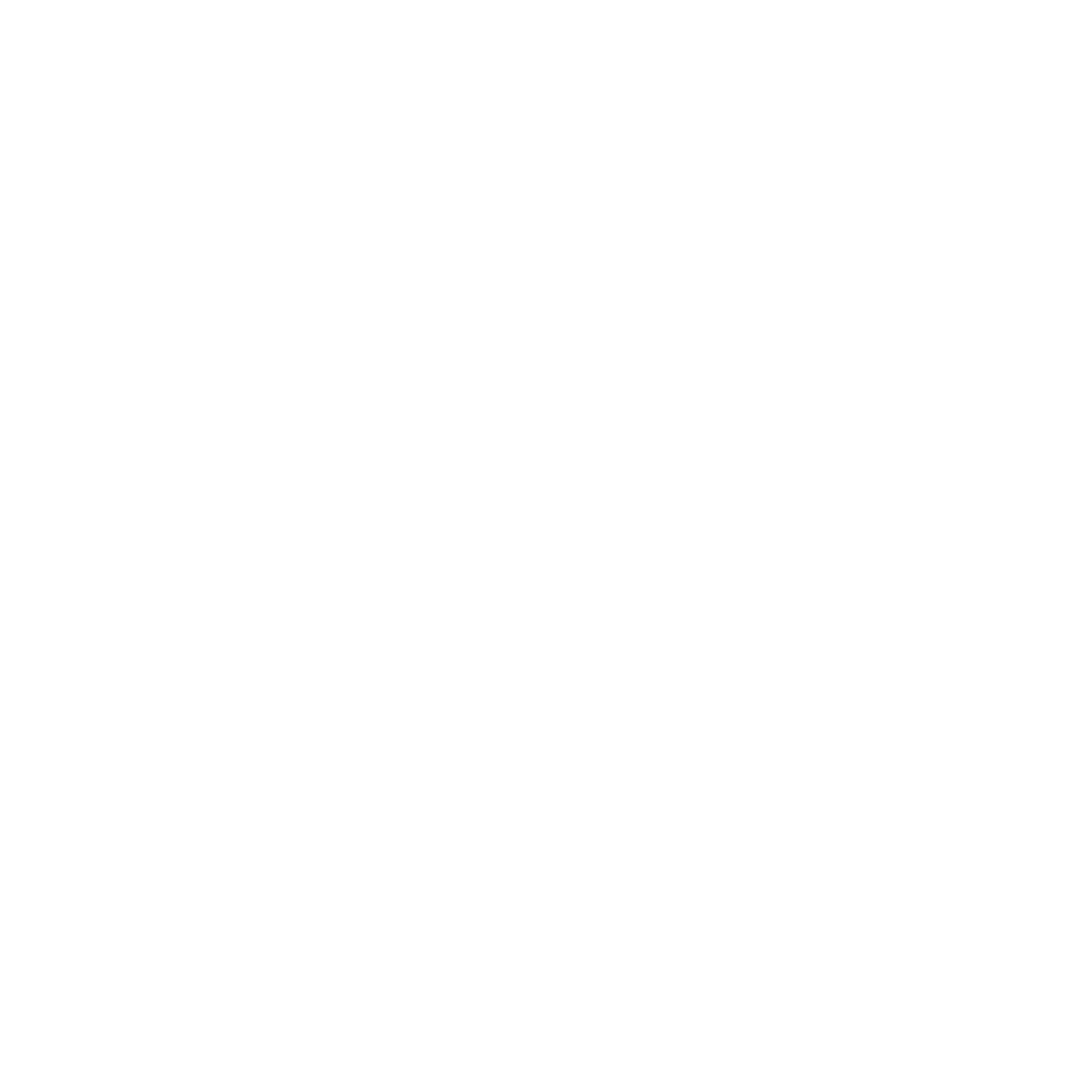 Dunlop<