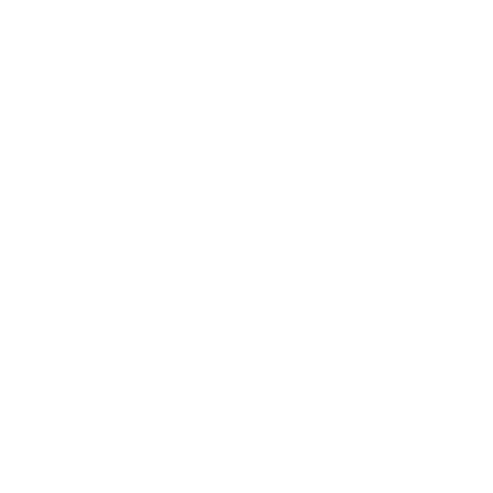 Babolat<