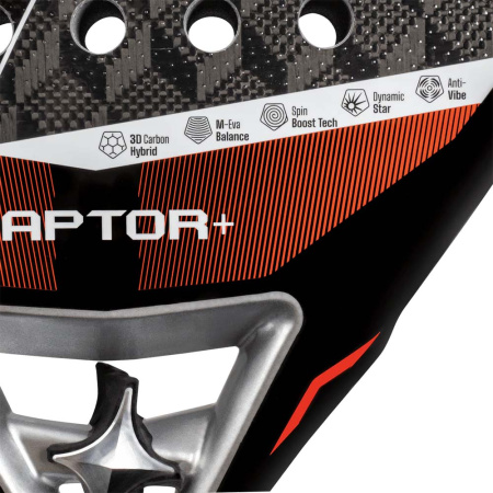 Starvie Raptor + 2026