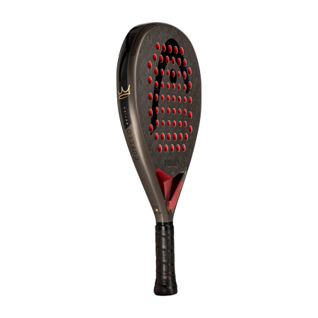Head Coello Motion 2026